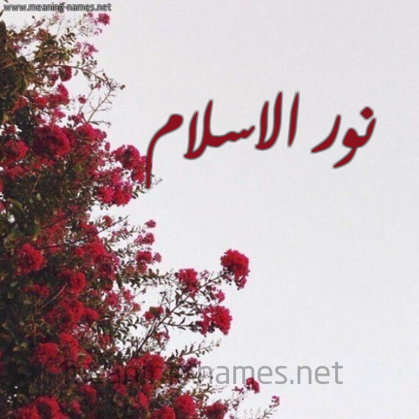 شكل 18 صوره الورد الأحمر للإسم بخط رقعة صورة اسم نور الاسلام Nour-Elislam